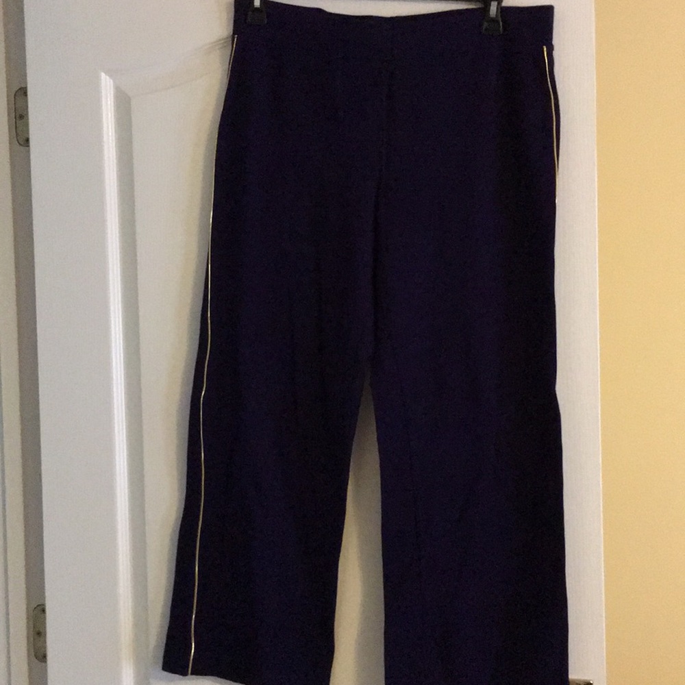 Ralph Lauren pants with gold stripe, knit pant.